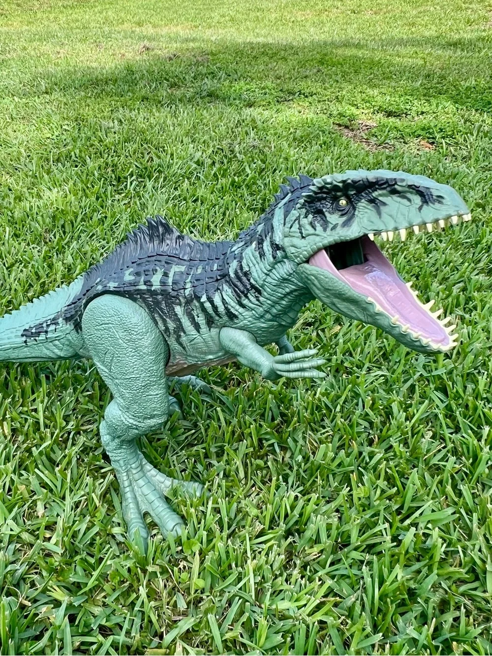 Jurassic World Super Colossal Giganotosaurus 40”  Green Giant Dinosaur Dominion